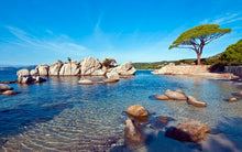 Load image into Gallery viewer, pb8mD2m7sW
