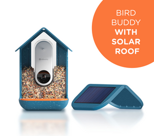 1x Bird Buddy with Solar Roof