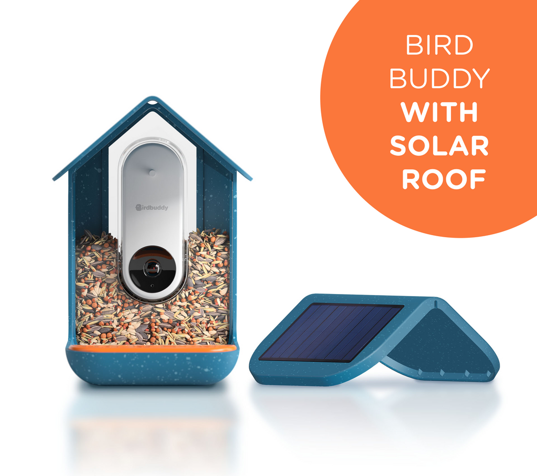1x Bird Buddy with Solar Roof
