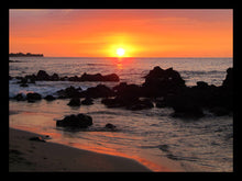 Load image into Gallery viewer, test multi variants
