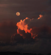 Load image into Gallery viewer, EJnzeJ5st5
