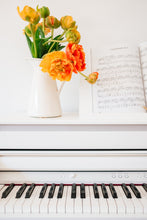 Load image into Gallery viewer, XOw4OmlDhQ
