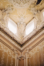 Load image into Gallery viewer, ZnOSfeqfL5
