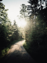 Load image into Gallery viewer, hTLf7JxEkE
