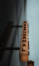 Load image into Gallery viewer, gdLEF3ggRD
