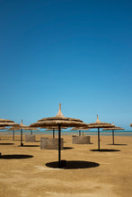 Load image into Gallery viewer, 14ZfPYArg3124 update2
