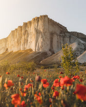 Load image into Gallery viewer, AP1czmK94e
