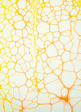 Load image into Gallery viewer, K3IXBJDsgN
