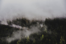 Load image into Gallery viewer, C2qzQHTfbs
