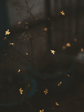 Load image into Gallery viewer, XOw4OmlDhQ
