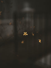 Load image into Gallery viewer, L046N0c9kT
