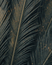 Load image into Gallery viewer, uVkTOoNzi9
