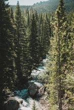 Load image into Gallery viewer, 5LNMrqcQQ8
