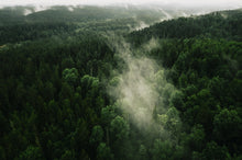 Load image into Gallery viewer, AUeceHzbFw
