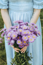 Load image into Gallery viewer, PCOrqD4B4t
